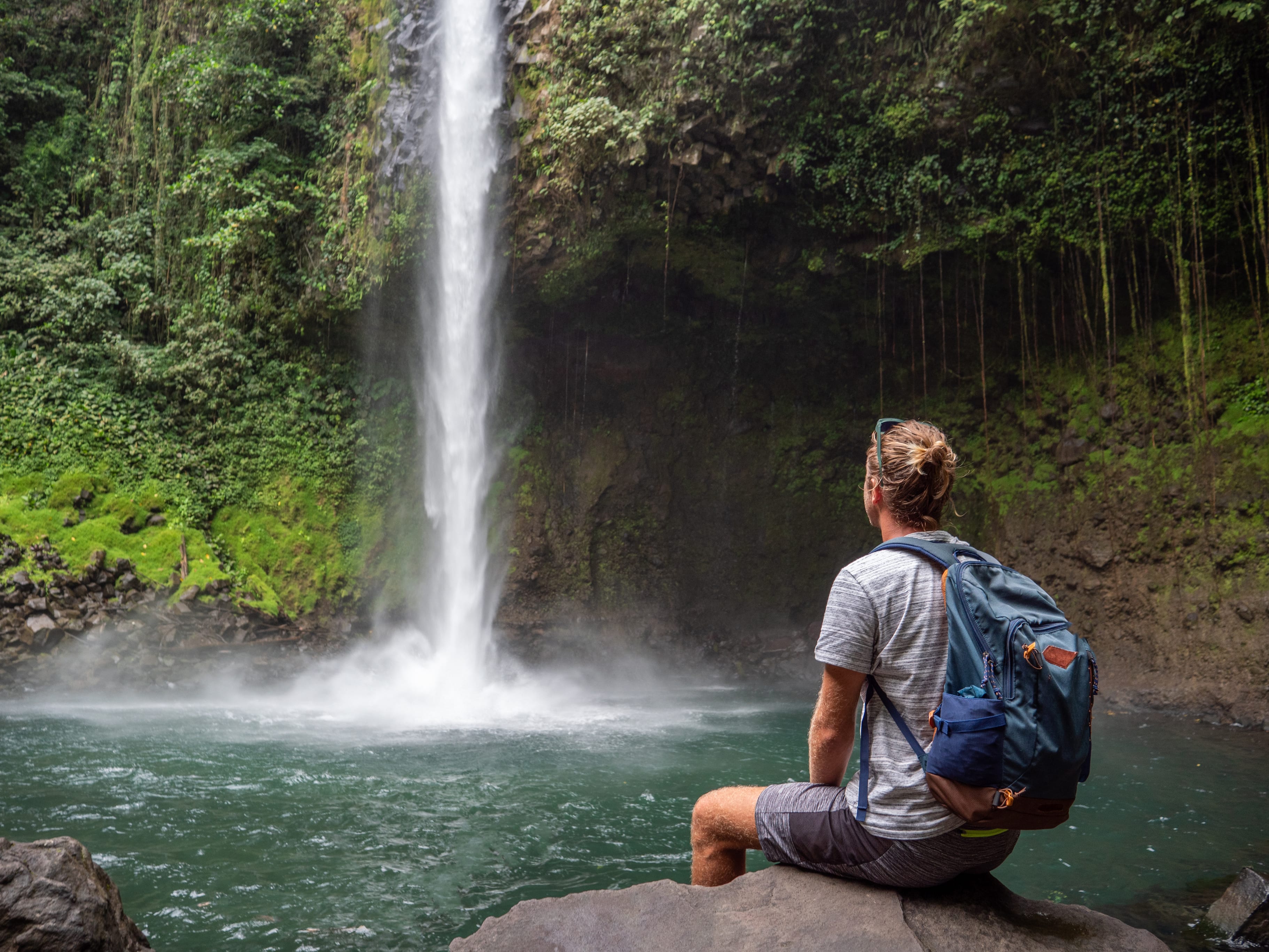a digital detox in a rainforest within Cornwall 